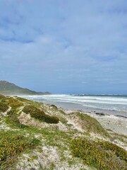 A scenic view of coastal dunes covered with green vegetation, leading to the ocean under cloudy skies. Ideal for travel and nature themes.