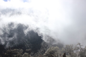 The fog gently covers the mountain
