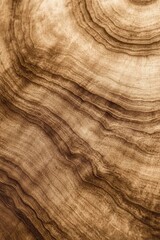 Naklejka premium Detailed Close-up of Natural Wood Grain Texture with Concentric Rings in Warm Brown Tones.