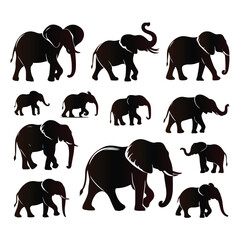 Elephant vector set with a white background