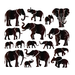 Elephant vector set with a white background
