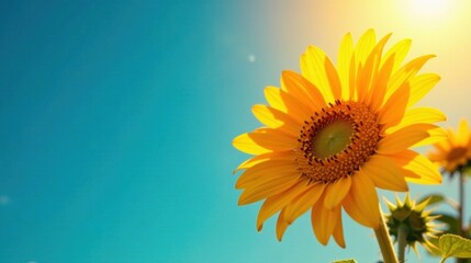 Obraz premium A Vibrant Sunflower Basking in Golden Sunlight Against a Clear Azure Sky, a Symbol of Summer's Warmth and Joy