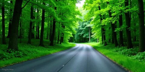 Obraz premium Asphalt road curving through a vibrant green forest, sunlight filtering through the lush canopy, creating a tranquil and serene atmosphere