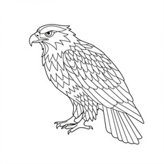Fototapeta premium Line drawing of an eagle with detailed feathers and fierce expression.