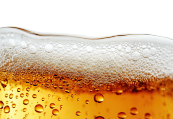 Close-up of golden beer with foam and bubbles, isolated on transparent cutout background
