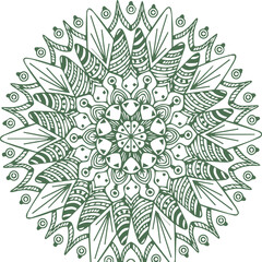 Beautiful flower art and mandala vector design