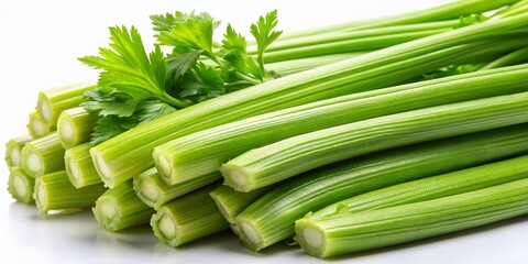 Obraz premium Fresh Green Celery Hand Drawn Illustration on White Background - Stock Photo