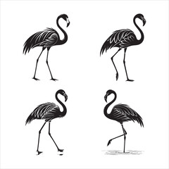 Obraz premium Flamingo Standing on One Leg black color bold simple and cleaner vector