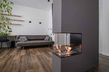 standard interior apartment. living room with sofa