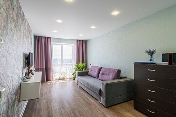 standard interior apartment. living room with sofa