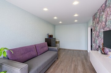 standard interior apartment. living room with sofa
