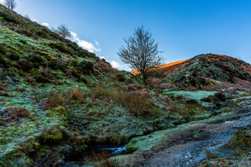 Frost-Touched Landscape of Carding Mill Valley with a Lone Tree Framed by Rolling Hills Under a Crisp Blue Sky