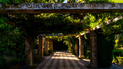 Enchanting Vine-Covered Pergola at Alhambra Gardens with Rustic Columns and Sunlit Path in Granada,...