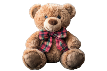 toy teddy isolated on white background	