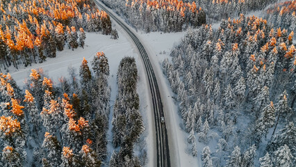 The car is driving along the road among snow-covered fir trees in a winter forest at sunset