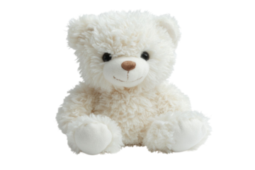 toy teddy isolated on white background	