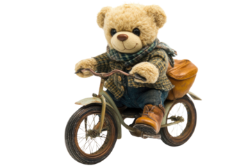 toy teddy isolated on white background	