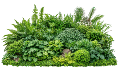 Lush green plant arrangement for decoration