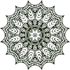 Beautiful flower art and mandala vector design