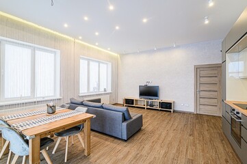 standard interior apartment. living room with sofa