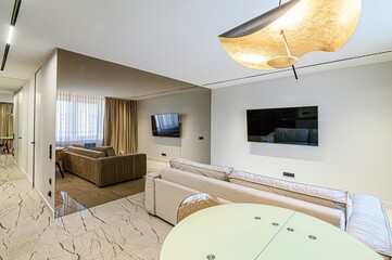 standard interior apartment. living room with sofa