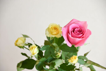 ピンクと黄色のばら