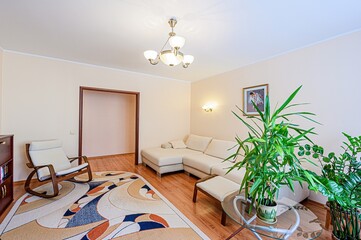 standard interior apartment. living room with sofa