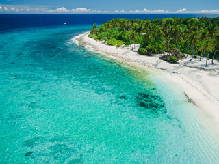 Maldiveisland, ocean and tropical beach with palms in sunny day