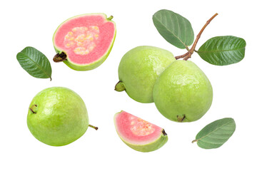 set of pink guava isolated on white