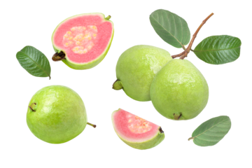 set of pink guava isolated on white
