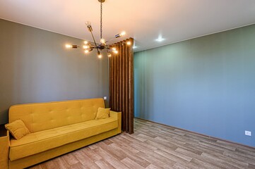 standard interior apartment. living room with sofa