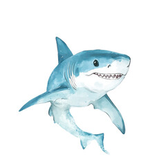 Naklejka premium A colorful watercolor illustration of a shark swimming gracefully in the ocean., isolated on a transparent background.