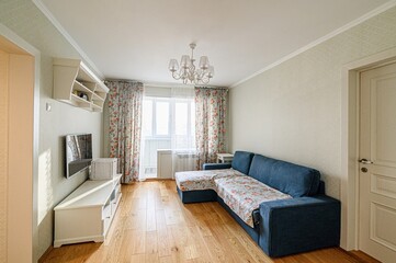 standard interior apartment. living room with sofa