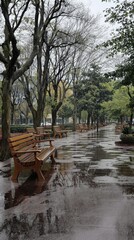 Obraz premium A rainy day in an urban park with rainwater puddles reflecting the sky, , nature in the city, urban landscape, urban parks, city life