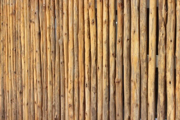 bamboo background