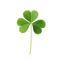 A vibrant green four-leaf clover symbolizing luck and prosperity., isolated on a transparent background.