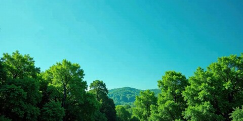 Obraz premium Serene Vista of Lush Green Foliage Against a Vibrant Azure Sky, Evoking a Sense of Tranquility and Natural Beauty