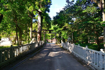 Obraz premium 胡宮神社（滋賀県）