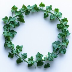 Naklejka premium Circular arrangement of lush green ivy leaves on light background