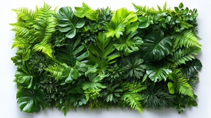 Vibrant tropical greenery wall featuring diverse leafy foliage on white background