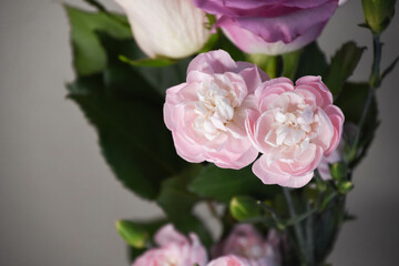 ピンクのカーネーション