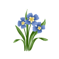 Naklejka premium blue iris flowers