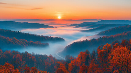 Foggy Mountain Road Surrounded by Pines, Misty Forest Path with Dense Trees