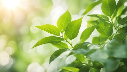 Fototapeta premium Close-up of vibrant green leaves bathed in sunlight, creating a bright and airy natural background.