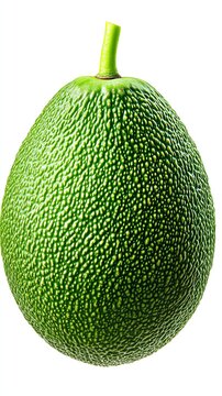 A marang with its textured green skin, ultrarealistic, isolated on white background