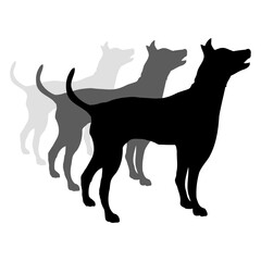 3 Dogs Silhouette Dangerous Team Crew Friends Cool Design Lover Art Vector Illustration Card T-Shirt Poster Sticker Graphic Print Decorative Drawing Isolated Logo Decoration Symbol Creative Cool Style