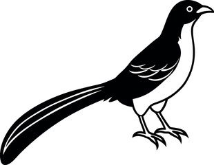 illustration of a bird