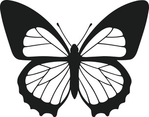 Elegant Butterfly Silhouette Vector with Intricate Wing Patterns