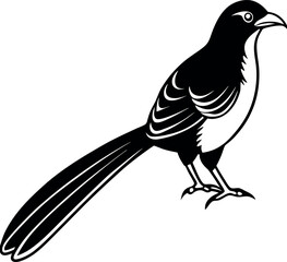 Black silhouette of cuckoo vector, line art cuckoo vector