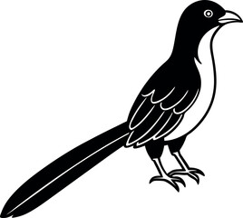Black silhouette of cuckoo vector, line art cuckoo vector